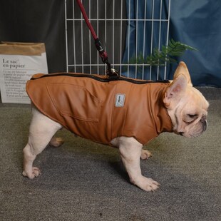 法斗衣服冬泰迪狗狗衣服s冬装 春皮衣宠物用品金毛比熊中大型犬保