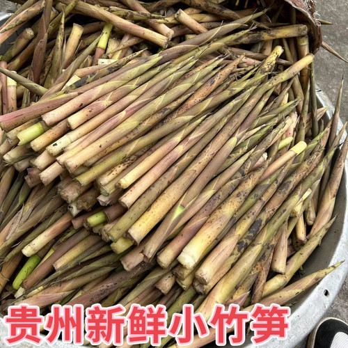 贵州新鲜野小竹笋生山竹笋尖包邮
