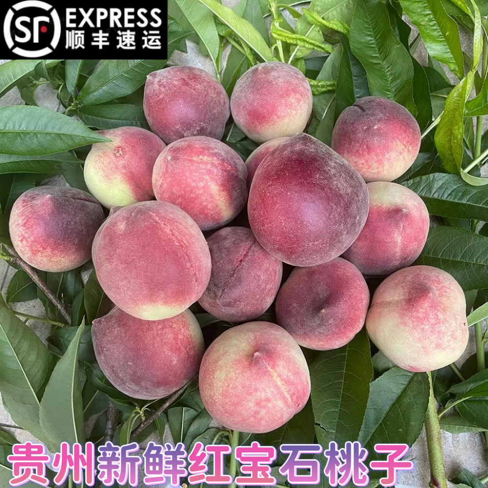 贵州新鲜水果现摘毛桃红宝石包邮