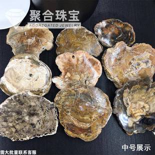 天然木化玉原石切片5-16cm标本石树化玉茶杯垫家居复古装饰摆件