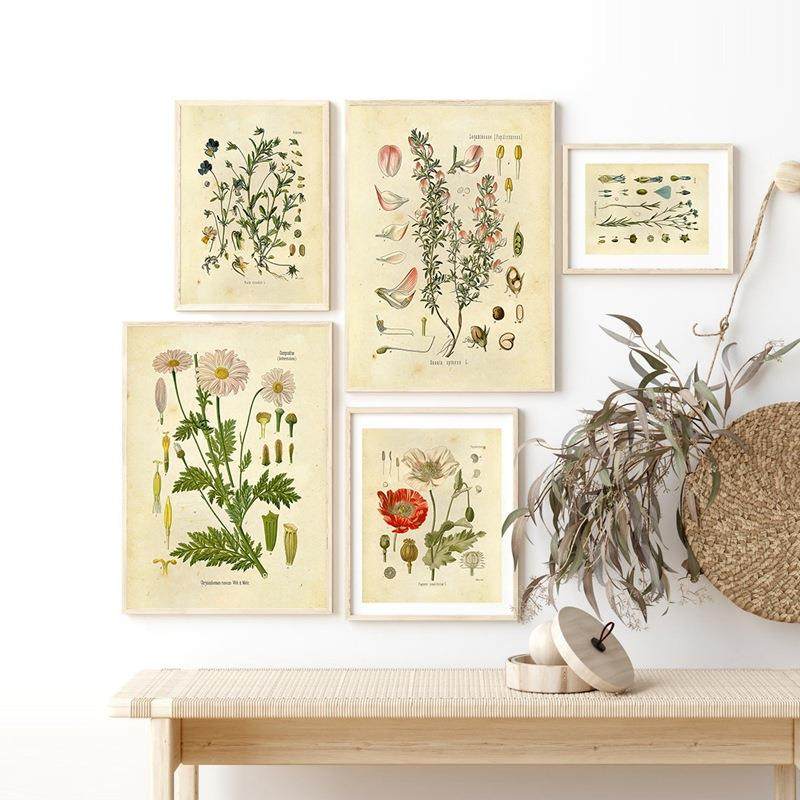 复古风格家居装饰画花朵植物图鉴客厅卧室框帆布挂画六件一套,家居饰品,现代装饰画,淘宝优惠券,粉丝福利购,淘宝优惠卷