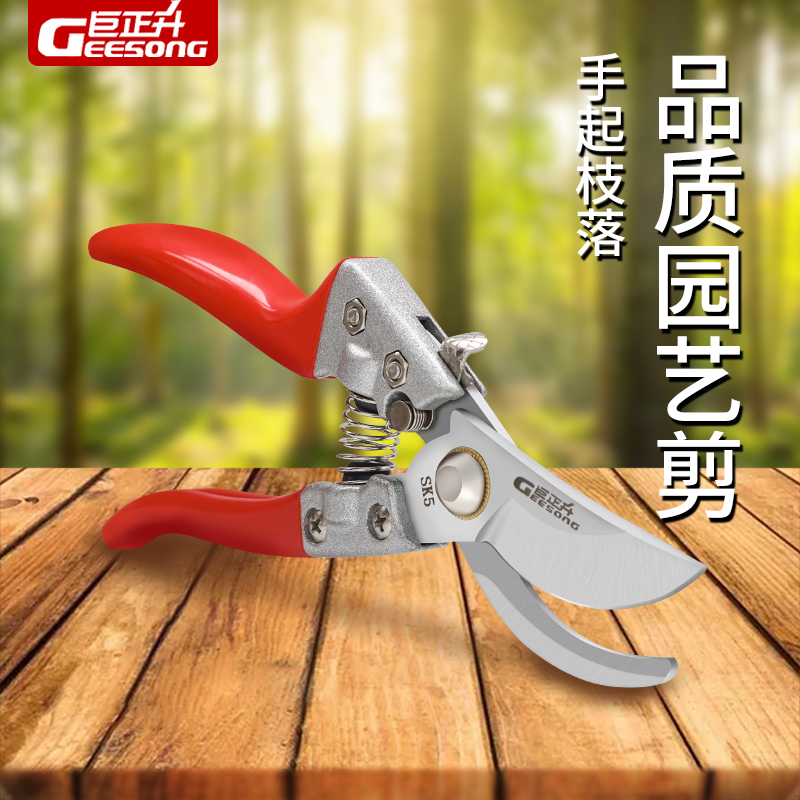 树木工具家用园艺强力剪枝剪刀