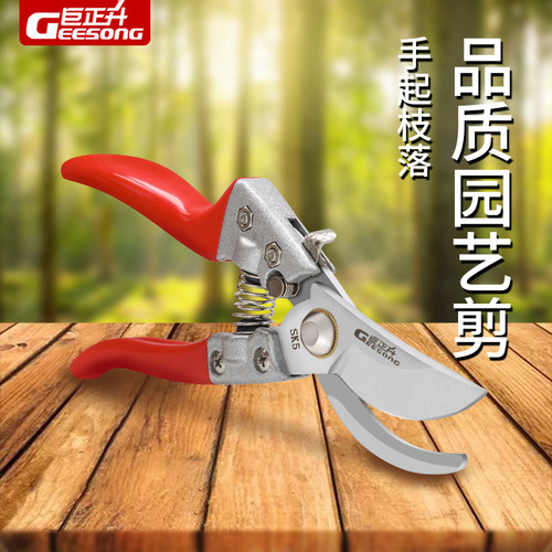 树木工具家用园艺强力剪枝剪刀