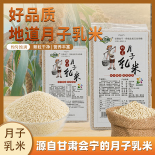 甘肃会宁地道月子乳米2025年新米干净农家自种小米适合月子期送礼