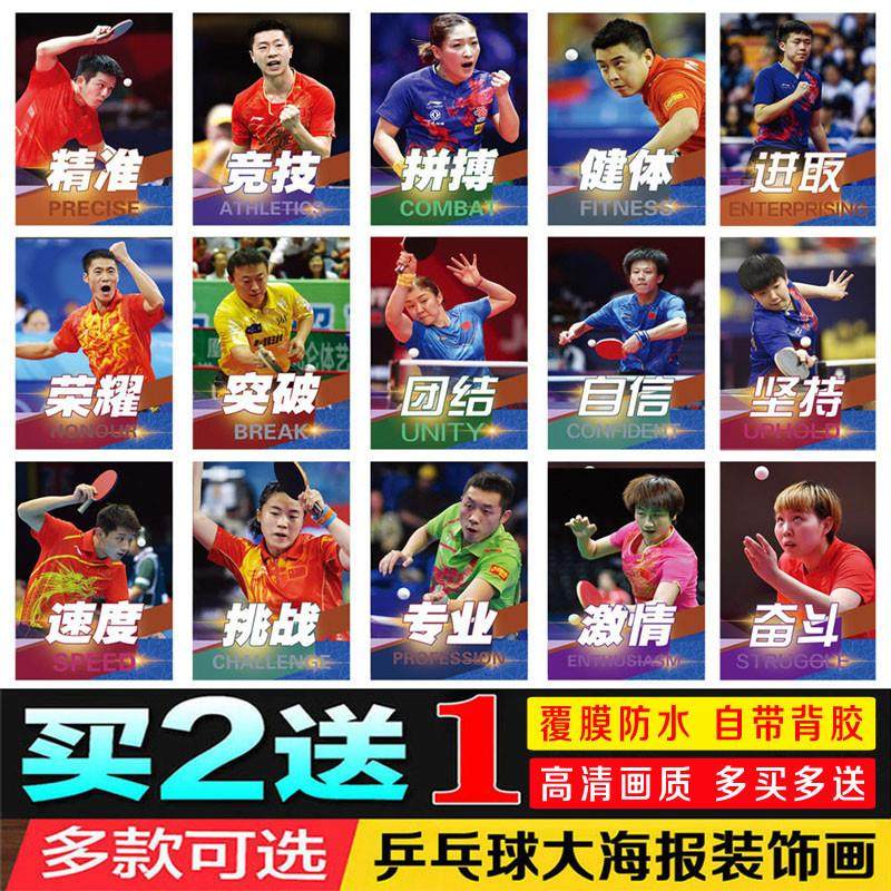 体育明星樊振东张继科怡宁丁宁乒乓球协会运动员体育会海报画图片