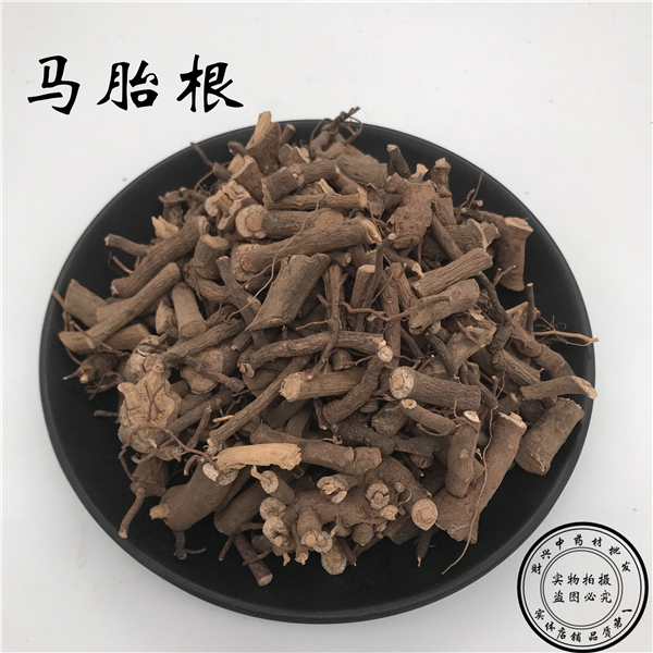 娘伞树 马胎根 矮脚浪伞 铁凉伞 小凉伞 朱砂根500克 2斤包邮