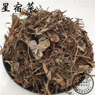 星宿菜 红脚兰 红脚南 水埔银 假辣蓼 泥鳅菜 红根草500g 3斤包邮