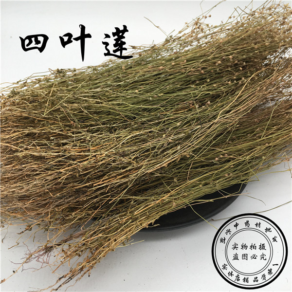 新货 挑选干净无杂质 四叶莲 四合莲 四合梅 天良草500克 2斤包邮