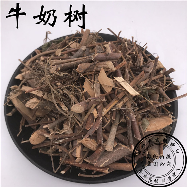 葫芦叶软枝牛乳根 琴叶榕 牛奶树 细叶牛奶树根 水松 500g 包邮