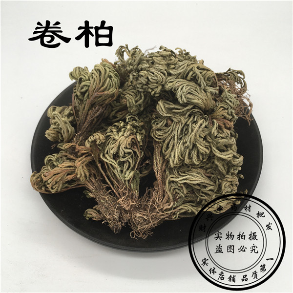 中药材 野生九死还魂草 卷柏 不死草 还阳草 长生草 500g 3斤包邮