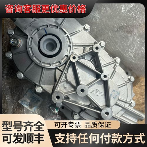 议价哪吒V 55KW 差速器总成 减速器总成 差速器齿轮 菠萝齿可维修图片