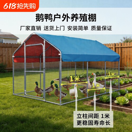 鸡笼户外养殖养鸡组装鸽笼