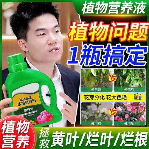 植物营养液通用型家用养花卉绿萝水培绿植多肉盆栽复活肥料室内