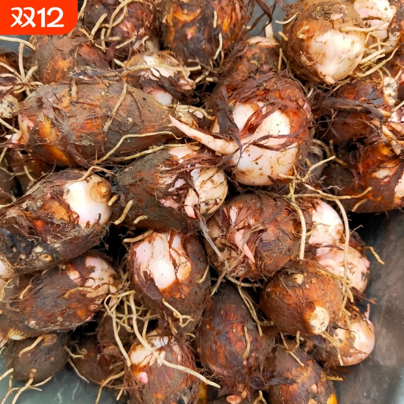 山东牛奶芋头新鲜毛软糯香滑