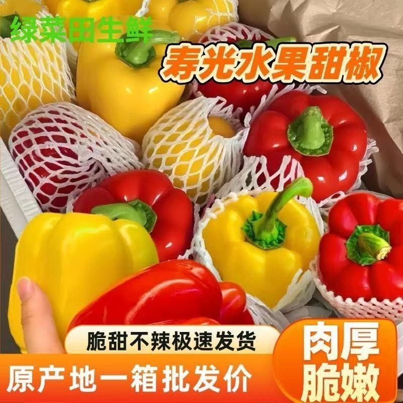 山东寿光露天生吃不辣甜椒五彩椒5斤新鲜圆椒红椒黄椒色辣椒当季,水产肉类/新鲜蔬果/熟食,辣椒,淘宝优惠券,粉丝福利购,淘宝优惠卷