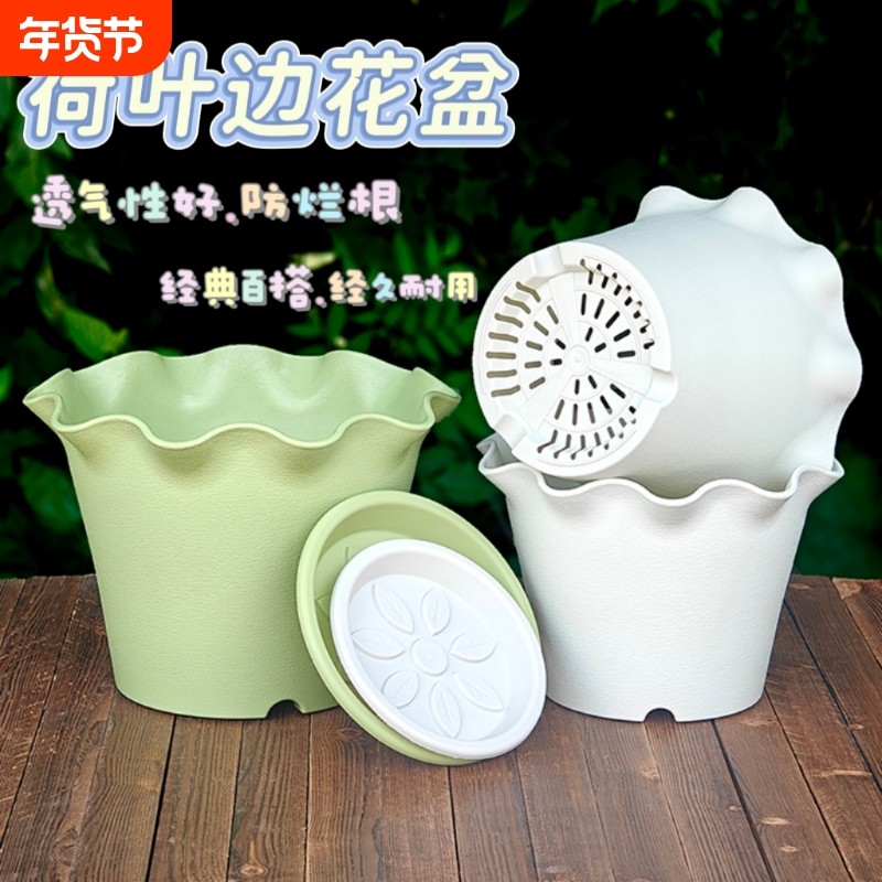 创意花盆加厚荷叶边家用阳台绿萝盆栽花边轻奢树脂多肉盆造型客厅,鲜花速递/花卉仿真/绿植园艺,花盆,淘宝优惠券,粉丝福利购,淘宝优惠卷