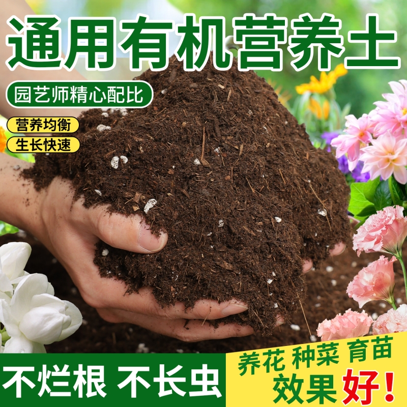 营养土种植蔬果多肉|123人收藏