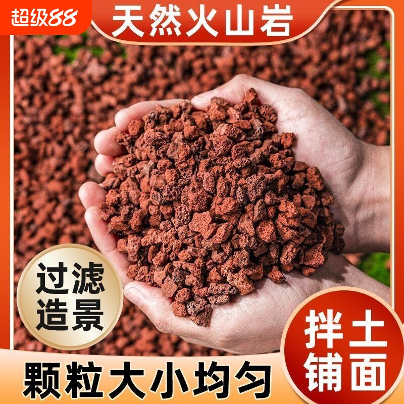 火山石小颗粒养花园艺蝴蝶兰花专用多肉铺面石水培植物鱼缸底砂石