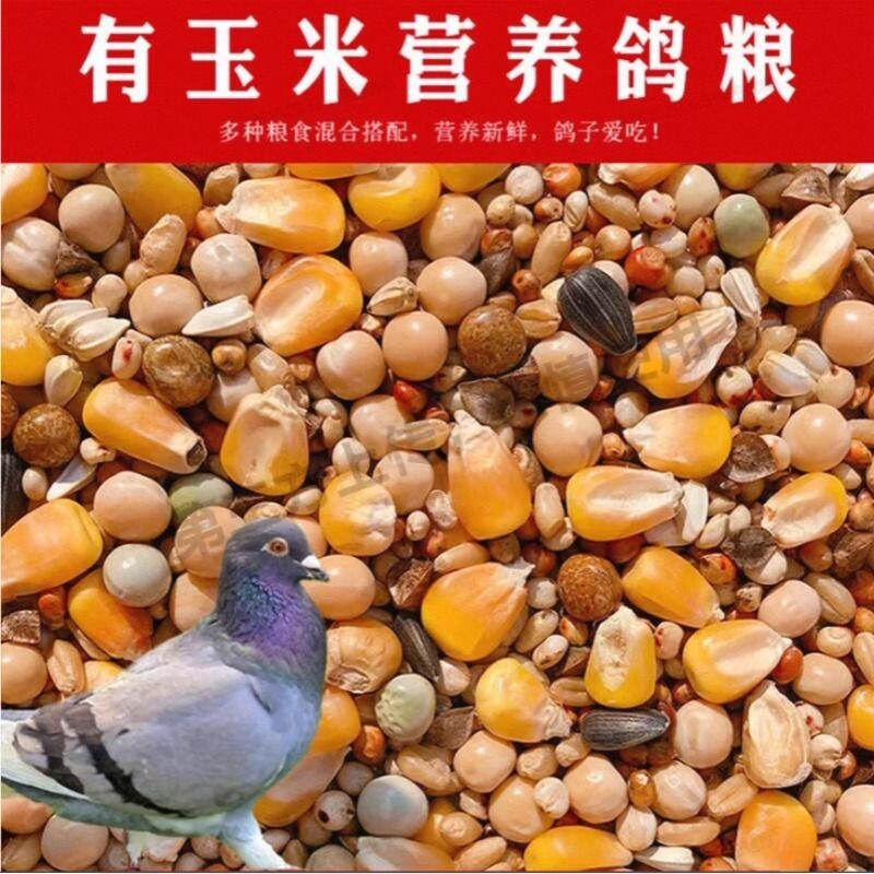 鸽子粮有玉米鸽粮食营养饲料鸟食信鸽幼鸽成鸽粮5斤装混合豌豆