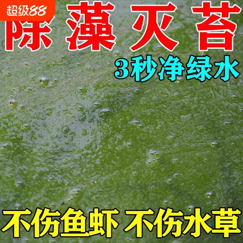 鱼池除藻去苔剂不伤鱼虾蟹鱼塘青苔蓝藻除绿浮萍清除剂养殖净水