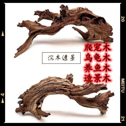 沉木紫柚木爬宠木乌龟晒台鱼缸造景微景观水陆缸根雕摆件固定螃蟹