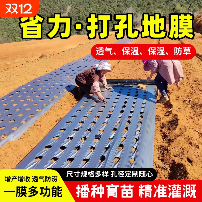 农用种植玉米打孔薄膜银黑地膜