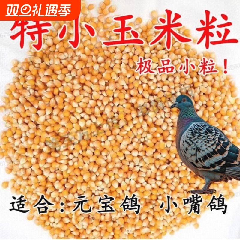 鸽粮饲料特小玉米粒小嘴鸽元宝鸽粮专用玉米粒信鸽幼鸽观赏鸽