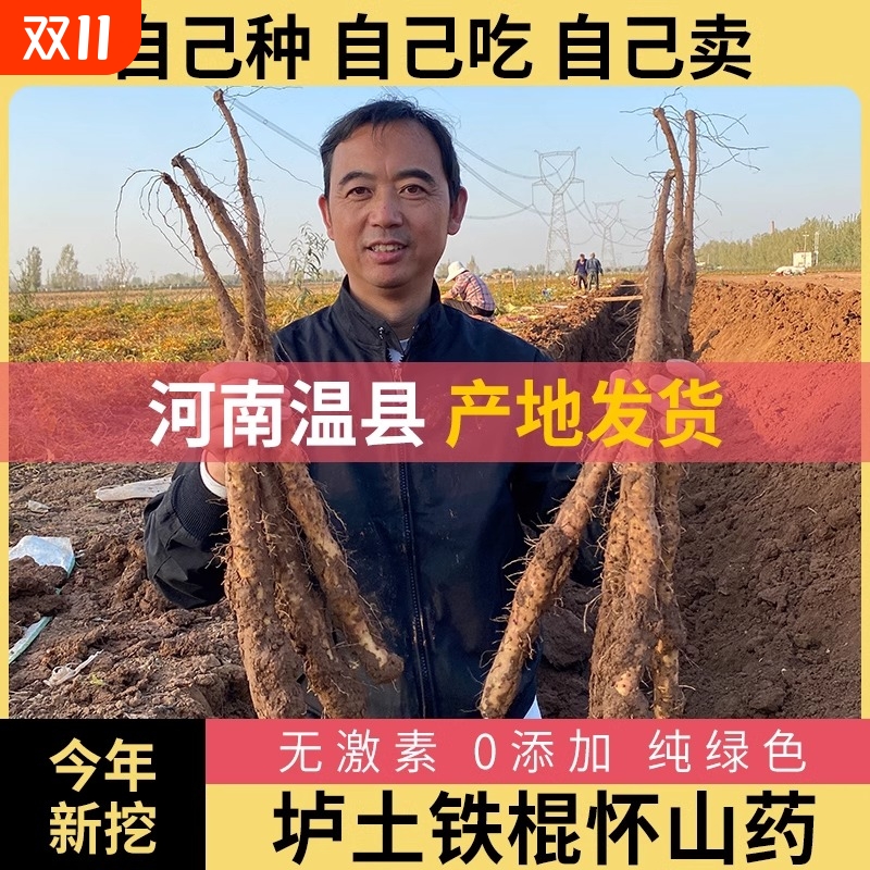 温县垆土铁棍山药正宗河南焦作新鲜5斤铁杆怀山淮山特产山药粉干