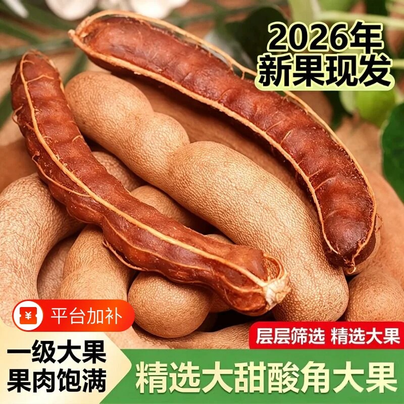 甜酸角云南特产新鲜大甜角孕妇零食水果南酸枣罗望子酸角酸甜带壳