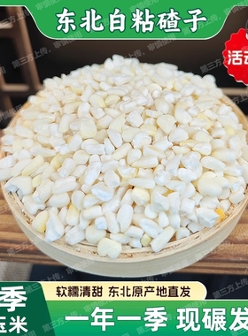 甜糯白玉米碴子大渣子新货包谷糁农家自种五谷杂粮白色糯玉米白糯