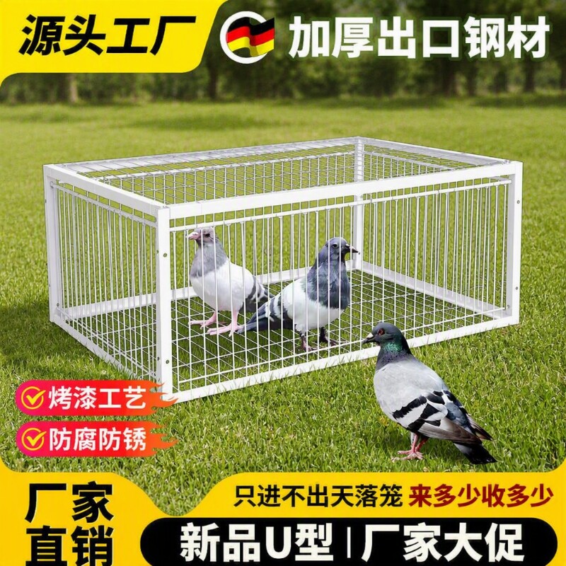 天落笼捕神器只进不出收鸽器户外加密粗防锈自动连续进鸽子笼捕捉图片