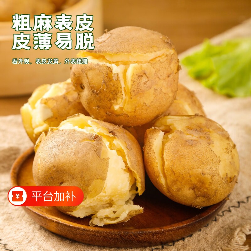 2026年甘肃沙面土豆新鲜黄皮黄心洋芋定西马铃薯辅食
