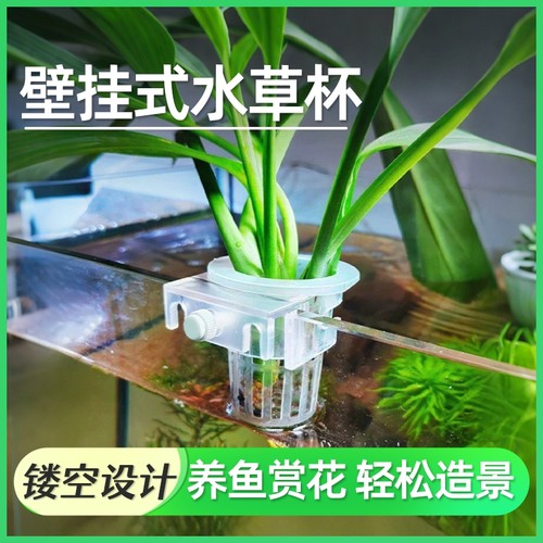 鱼缸水培篮壁挂式水草杯卡扣式造景植物固定支架吸盘式水质换水
