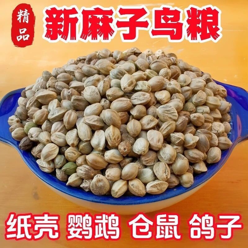 新麻子鸟粮鹦鹉薄皮麻籽大粒火麻仁玄凤牡丹虎皮饲料鸽子鸟食新季
