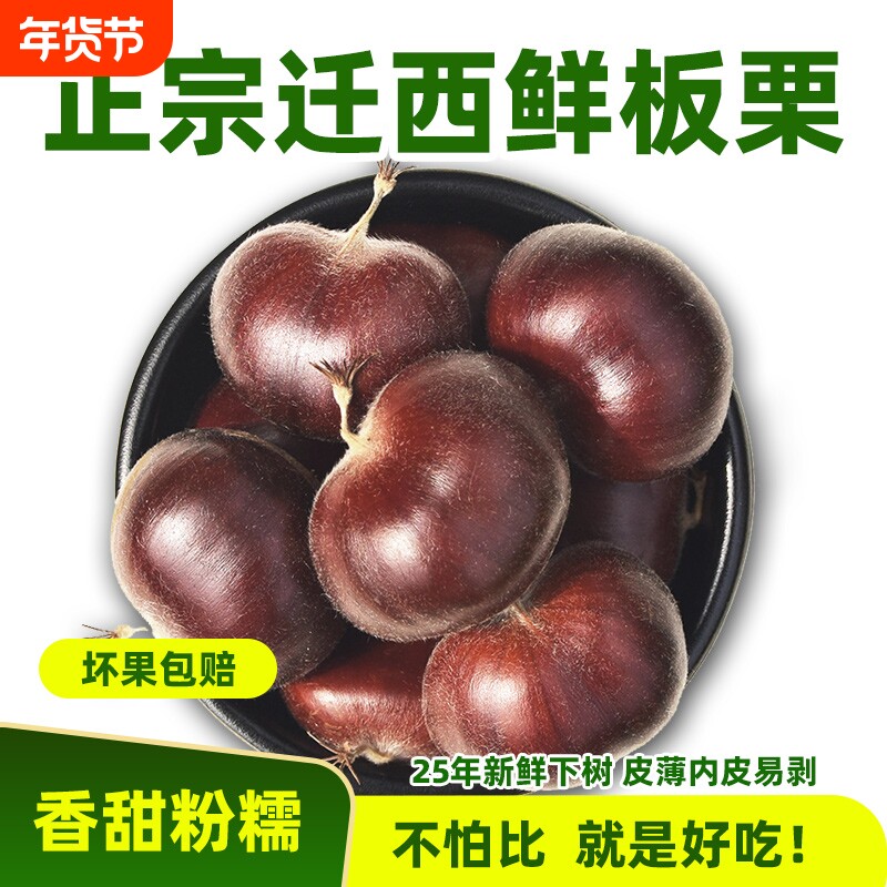2026年迁西生板栗生栗子正宗燕山油栗子新鲜板栗生新鲜好去皮