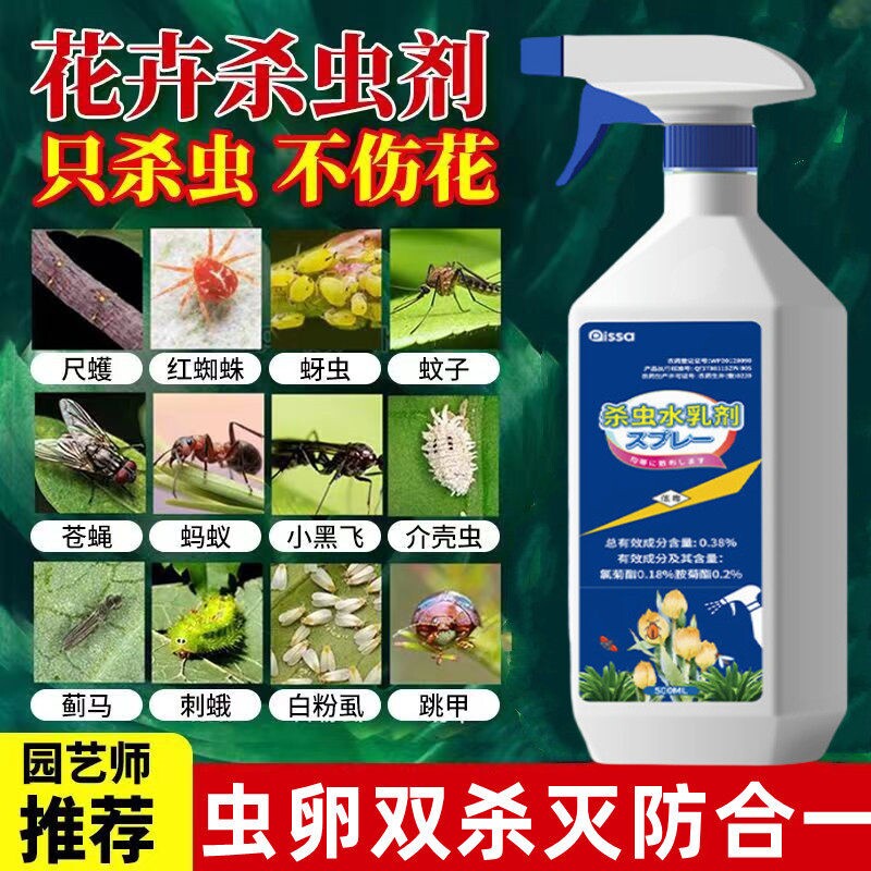 植物小黑飞花卉杀虫剂室内花草专用药花盆蚧壳虫土壤喷雾除虫虫卵