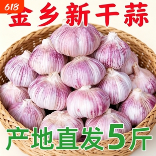 今年河南农家干大蒜5斤大蒜头新鲜紫白皮种子新干蒜9斤蔬菜自种