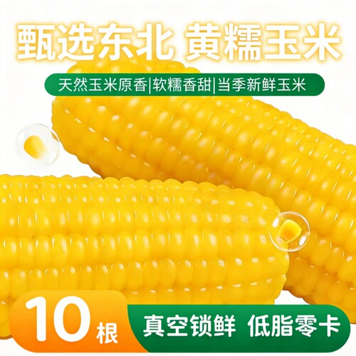 东北新鲜黄糯玉米软糯香甜拉丝