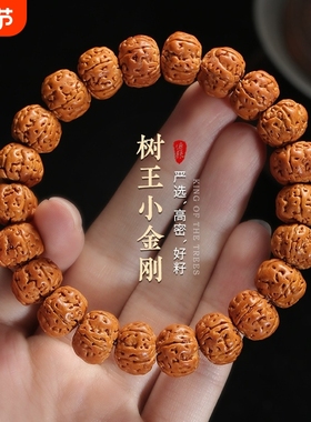 普陀山树王双龙纹爆肉金刚手串男女手链文玩佛珠核桃盘玩菩提念珠