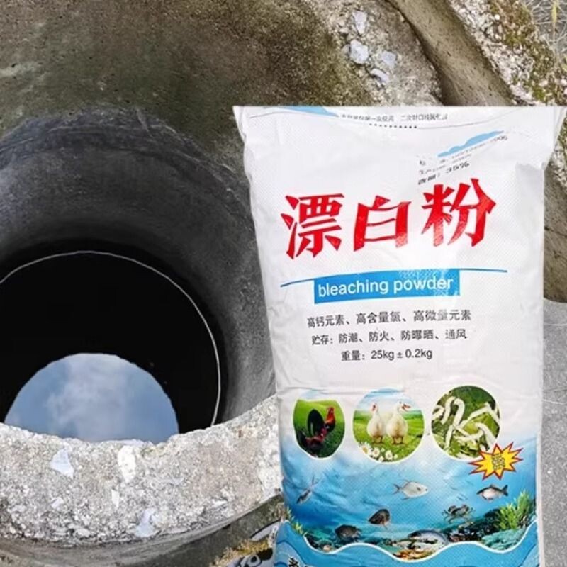 井水饮用水消毒食用漂白粉净水片自来水净化药片剂水井水质鱼塘图片