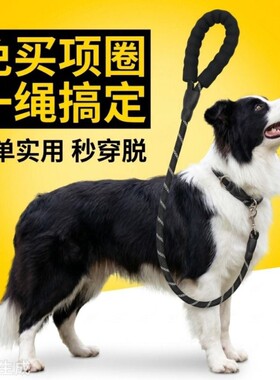 一体化多功能P链夜间反光牵引绳