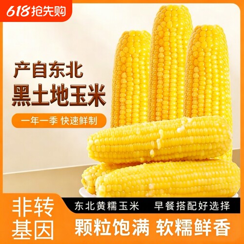 东北黏糯玉米10支早餐玉米