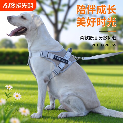 宠物胸背带防爆冲狗狗牵引绳