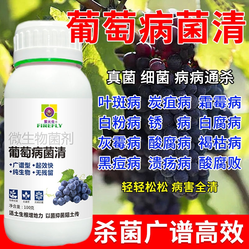 葡萄树专用药病全治葡萄叶斑病黄叶白粉病黑痘病杀菌剂葡萄病菌清