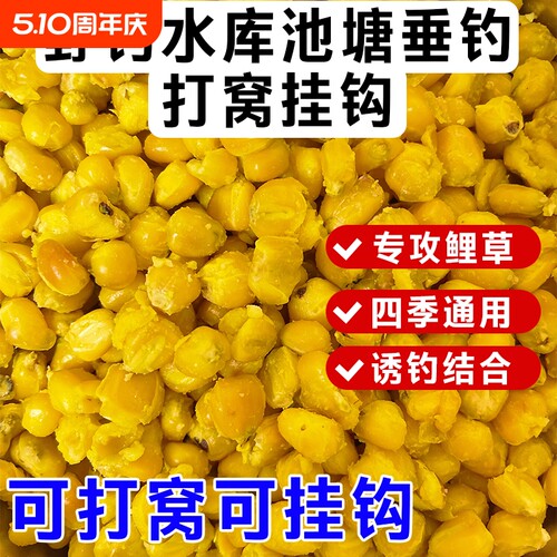 玉米打窝料颗粒钓鱼鲤鱼钓鱼老坛发酵老坛玉米诱钓两用鱼饵料