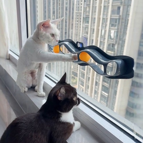猫咪玩具吸盘轨道逗猫棒自嗨解闷神器乒乓球消耗体力耐玩宠物用品