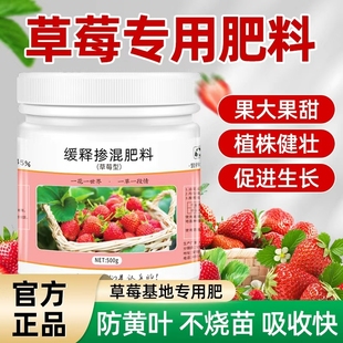 草莓专用肥料缓释肥家用有机肥复合肥盆栽开花结果平衡肥施肥化肥