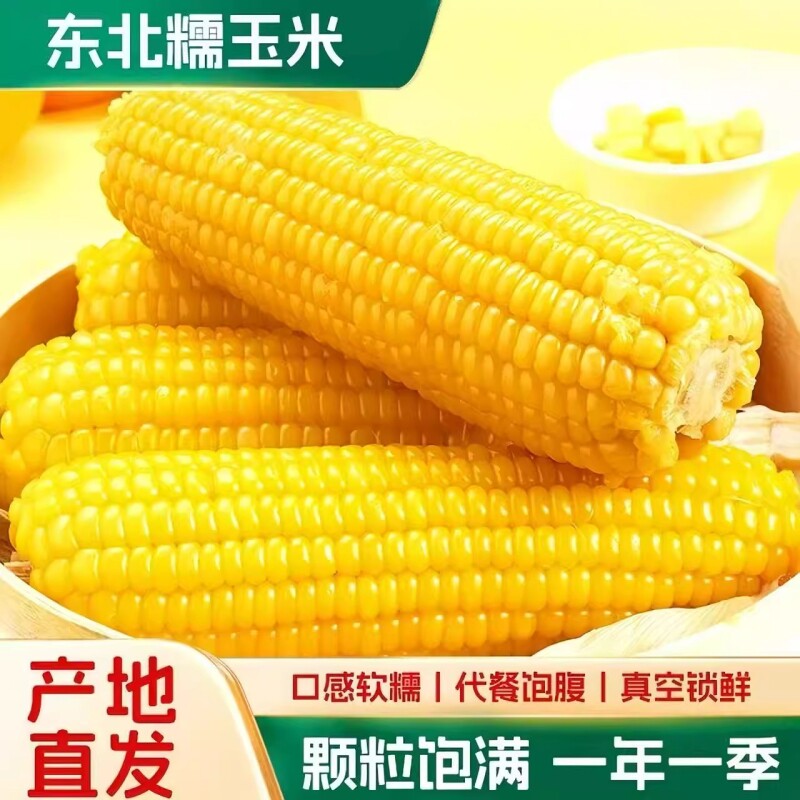 东北玉米新鲜黄糯玉米粘黏甜糯玉米棒真空装整箱软糯自提代餐年货