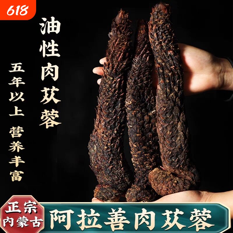 正宗阿拉善肉苁蓉特级野生整根油性软质肉苁蓉男性泡酒切片泡水茶