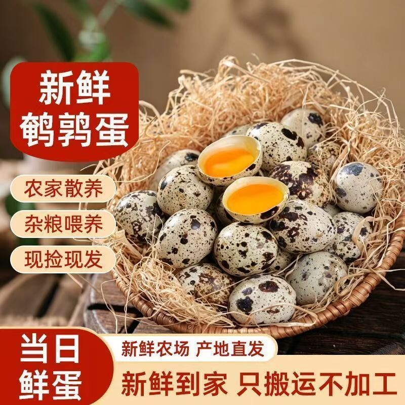 农家杂粮喂养新鲜生鹌鹑蛋绿色杂粮口感细腻整箱发货批发包邮农场